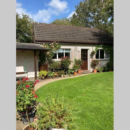 Mews With Garden Views Apartment Carlow Exterior foto